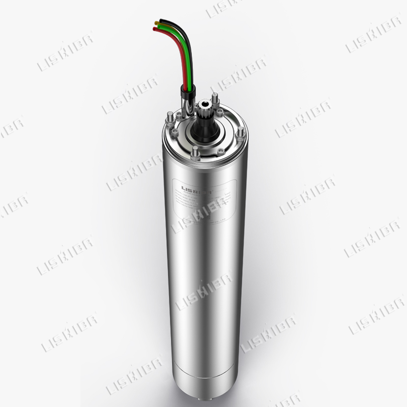 力士霸泵業詳解什么是潛水電機?(圖1) 力士霸泵業詳解什么是潛水電機?(圖1)
